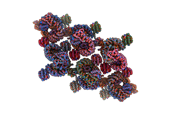 8D9T image