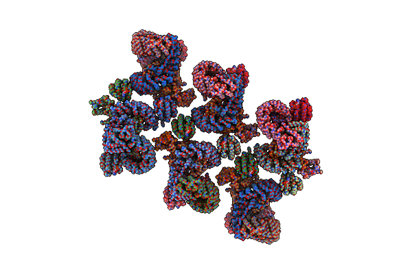 8D9U image