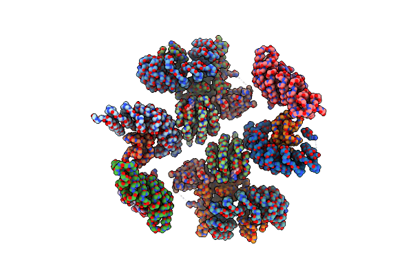 8D9W image