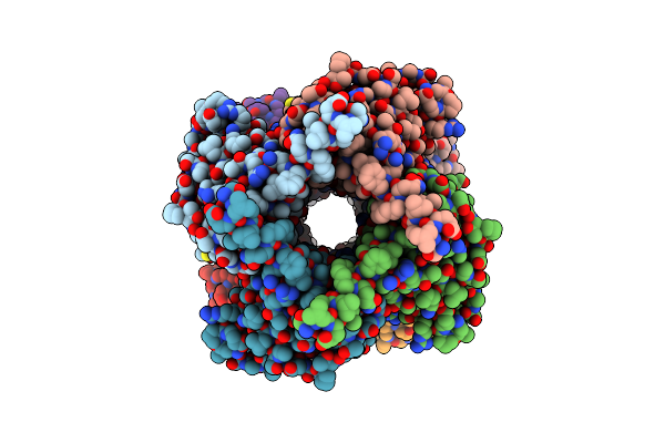 8D9X image