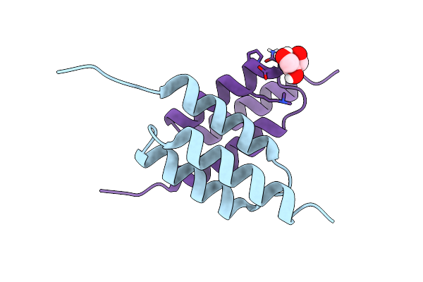 8DAC image