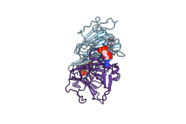 8DAK image
