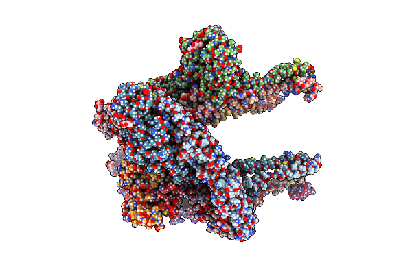 8DAQ image