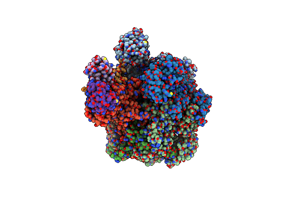 8DAV image