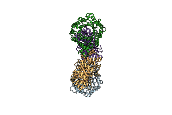 8DAY image