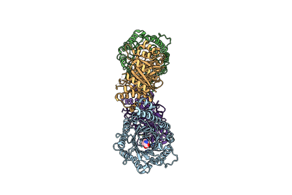 8DB1 image
