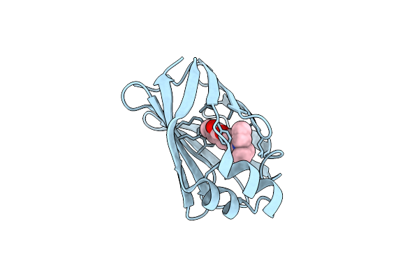 8DB2 image