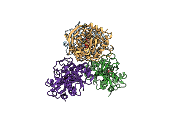 8DB6 image