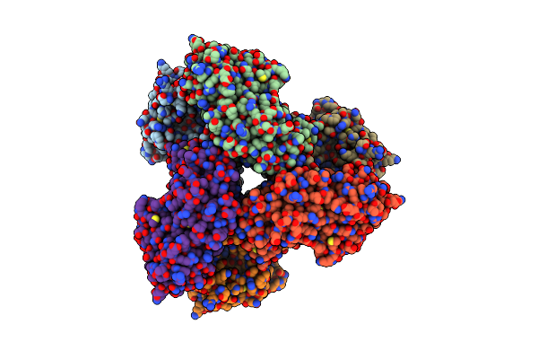 8DBC image