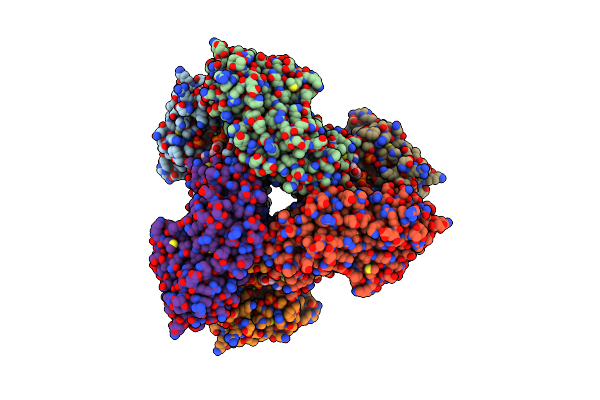 8DBG image