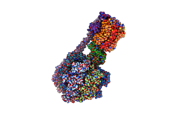 8DBP image
