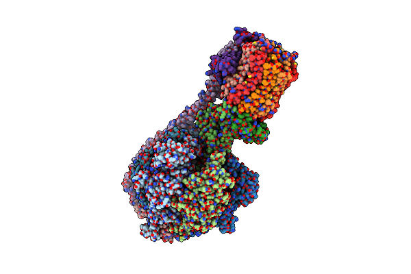8DBT image