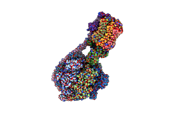 8DBV image