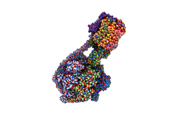 8DBW image