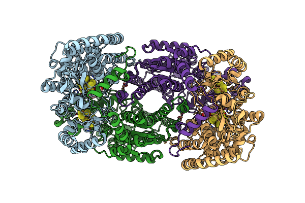 8DBY image