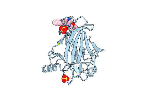8DC8 image