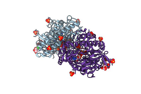 8DCD image
