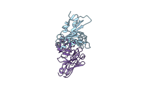 8DCE image