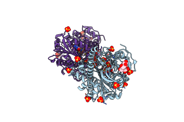 8DCG image