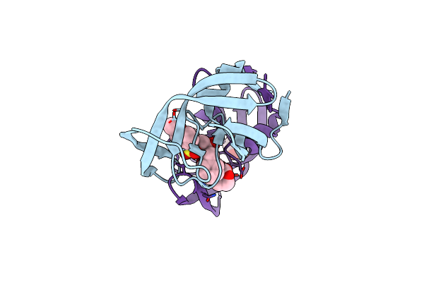 8DCH image