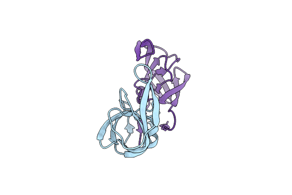 8DCI image