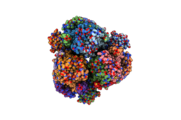 8DCK image