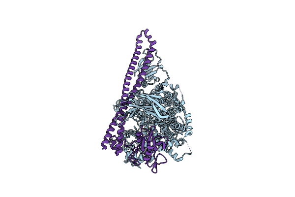 8DCP image