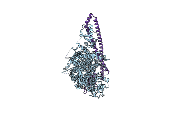 8DCX image