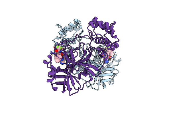 8DCZ image
