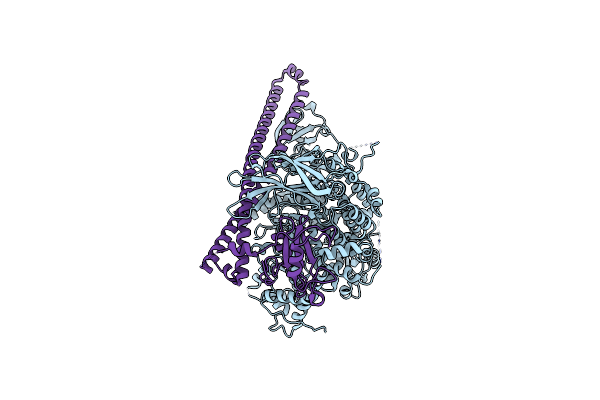 8DD4 image