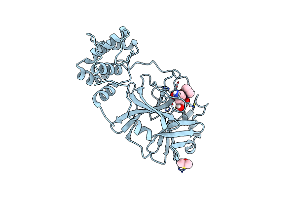 8DD6 image
