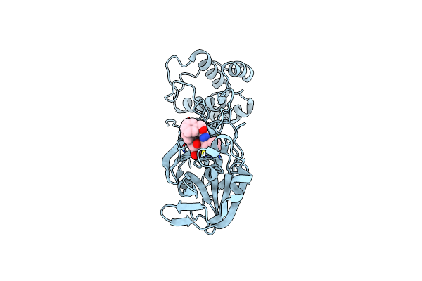 8DD9 image