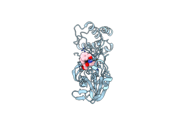 8DDM image