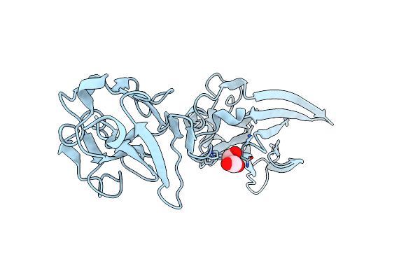8DDP image