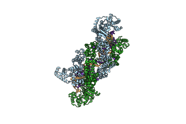 8DFB image