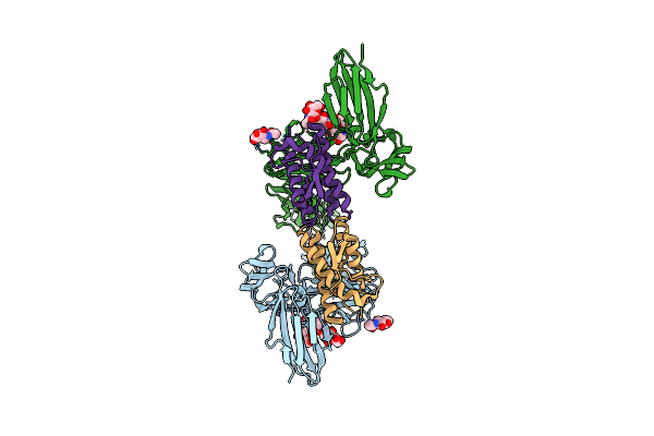 8DFM image