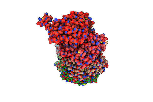 8DFO image