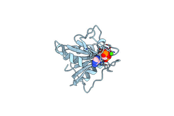 8DFR image