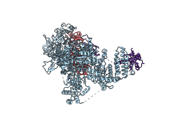 8DFV image