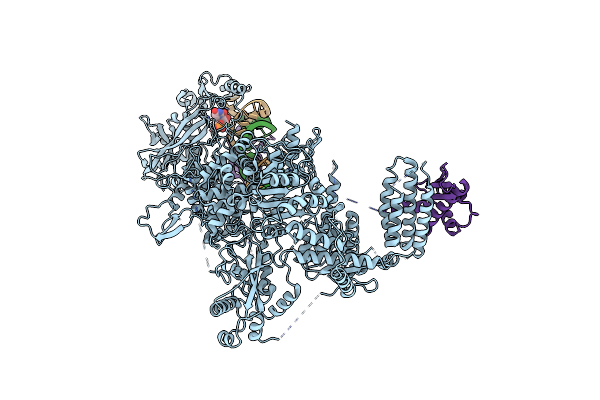 8DGA image