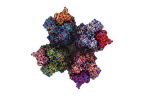 8DGC image
