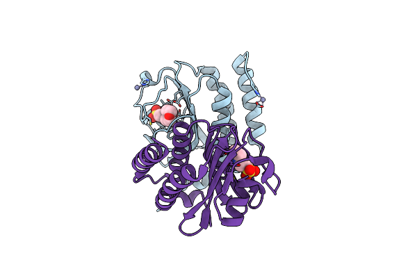 8DGD image