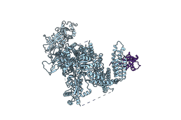 8DGI image