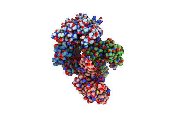 8DGP image