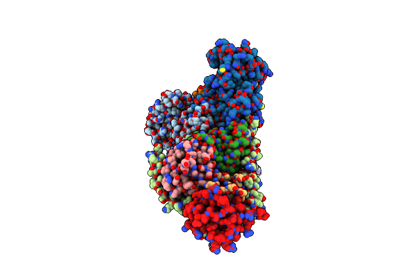 8DHB image