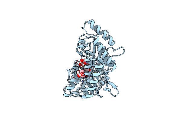 8DHD image
