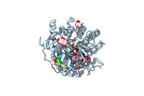 8DHH image