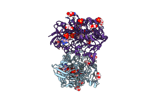 8DHK image