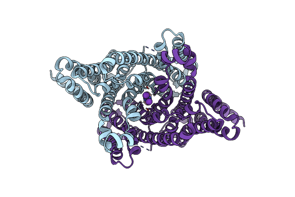 8DHM image