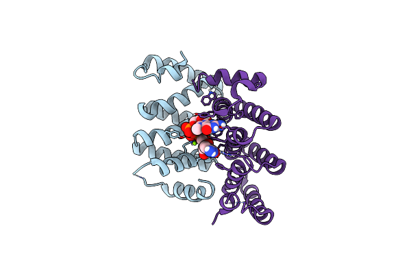 8DHU image